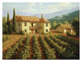 Buy Tuscan Vineyard at AllPosters.com