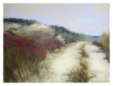 Buy Dunes, Ocean View at AllPosters.com