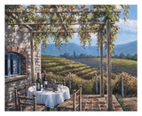 Vineyard Terrace