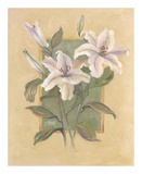Buy White Lilies at AllPosters.com