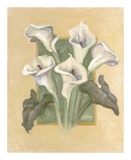 Buy Cala Lilies at AllPosters.com