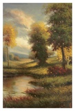 Resplendent II Art Print