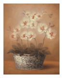 Buy Gillian at AllPosters.com
