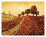 La Colina Dei Papaveri