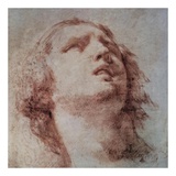 Study of a Head Looking Up