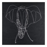 Elephas Maximus