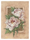 Buy Peony Fresco at AllPosters.com