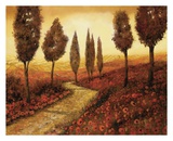 Strada Tra I Papaveri