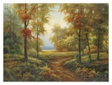 Early Autumn Path