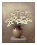 Buy Nanette at AllPosters.com