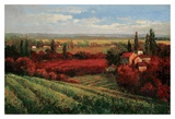 Tuscan Fields of Red