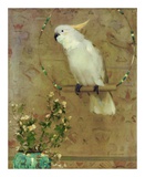 Buy White Bird at AllPosters.com