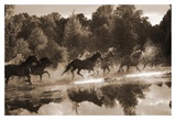 Buy Horse Crossing at AllPosters.com