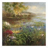 Village Pond