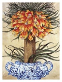Buy New World Botanical I at AllPosters.com