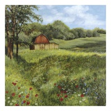Flower Field