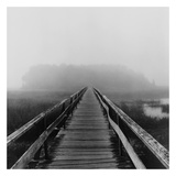 Misty Walk, Cape Cod Art Print