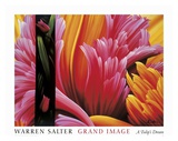 Buy A Tulip's Dream at AllPosters.com