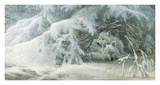 Buy Winter Lullaby at AllPosters.com