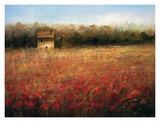 Buy Sparkling Field at AllPosters.com