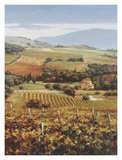 Buy Golden Vineyard I at AllPosters.com