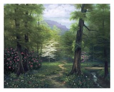 Secluded Path