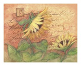 Buy Sunflowers On Red at AllPosters.com