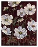 California Cosmos