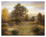Buy Umbia at AllPosters.com