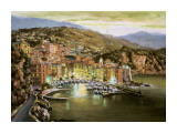 Buy Camogily at AllPosters.com