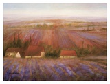Buy Sense of Lavender at AllPosters.com