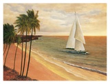 Tropical Holiday