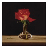 Buy Red Rose at AllPosters.com