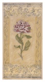 Buy Peonie Toile at AllPosters.com