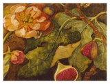 Luscious Flower and Figs