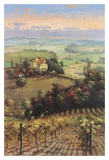 Buy Golden Vineyard II at AllPosters.com