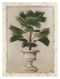 Tropical Persuasion I