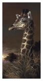 Buy The Graceful One at AllPosters.com
