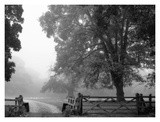Buy Misty II at AllPosters.com