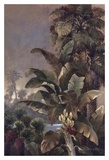 Buy Misty Palms II at AllPosters.com