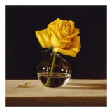 Buy Yellow Rose at AllPosters.com