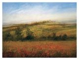 Buy Poppy Meadow at AllPosters.com
