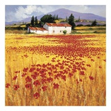 Buy Poppies at AllPosters.com