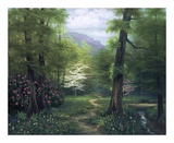 Buy Secluded Path at AllPosters.com