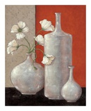 Silverleaf And Poppies II