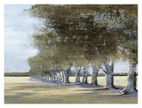 Buy Extending To Infinity at AllPosters.com