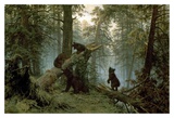 Morning In A Pine Forest
