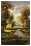 Resplendent I Art Print