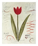 Buy Une Tulipe Rouge at AllPosters.com