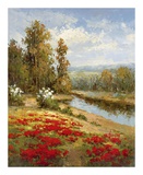 Buy Poppy Vista I at AllPosters.com